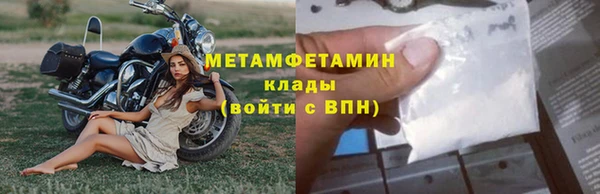 индика Майский