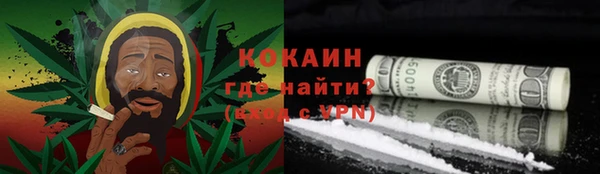индика Майский