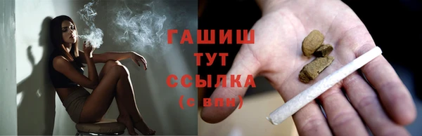 индика Майский