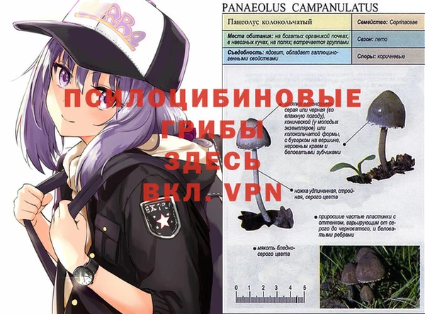 прущий лед Липки