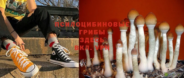 марки lsd Лиски
