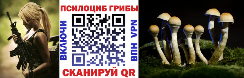 Галлюциногенные грибы Magic Shrooms  Темников 